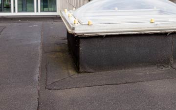 disadvantages of Northside flat roofs
