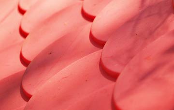 Northside plastic roof costs