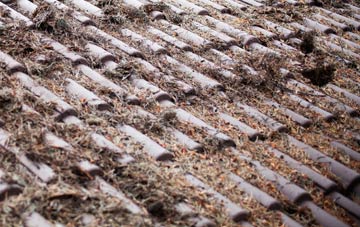 Northside roof cleaning companies