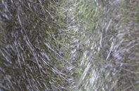 Northside fibreglass roof work